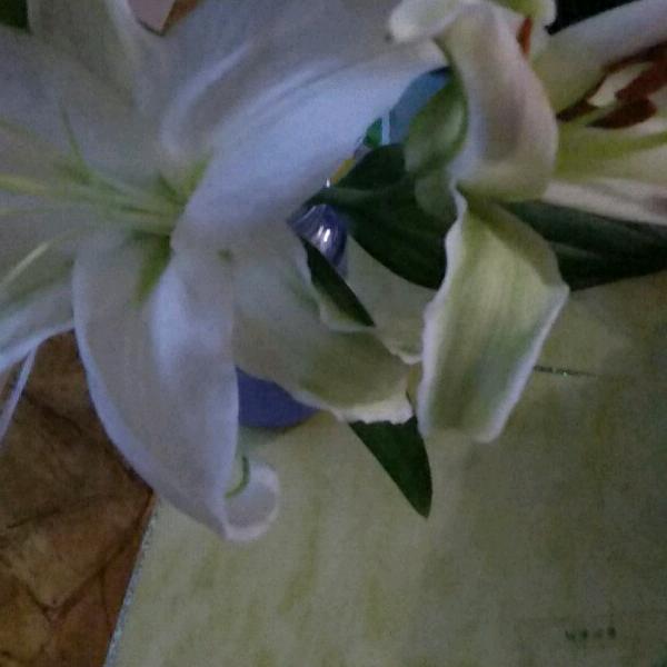 一朵风中摇曳的向日葵