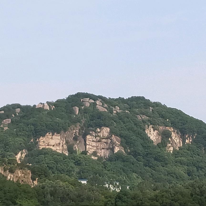 龙