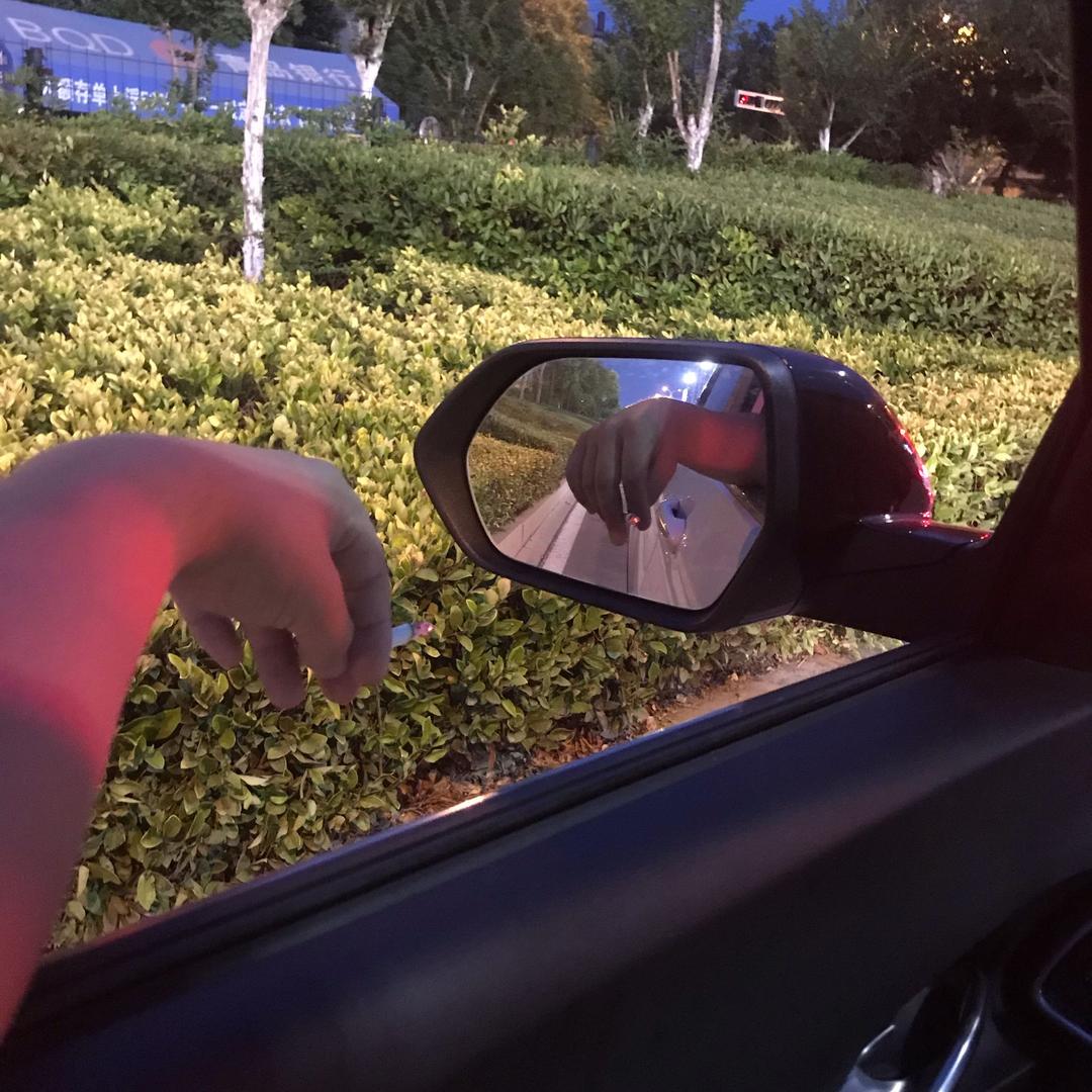 热爱生活的大洋