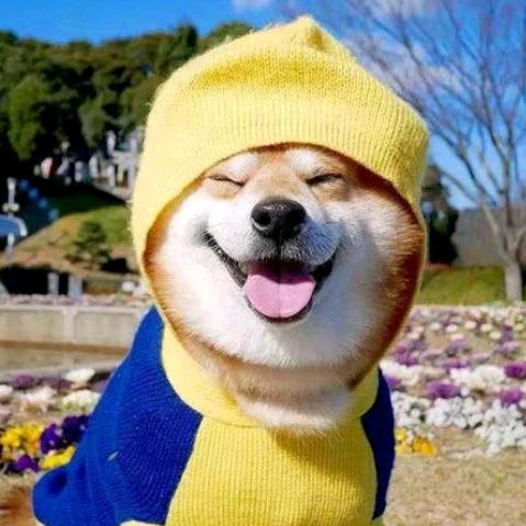 莫尼