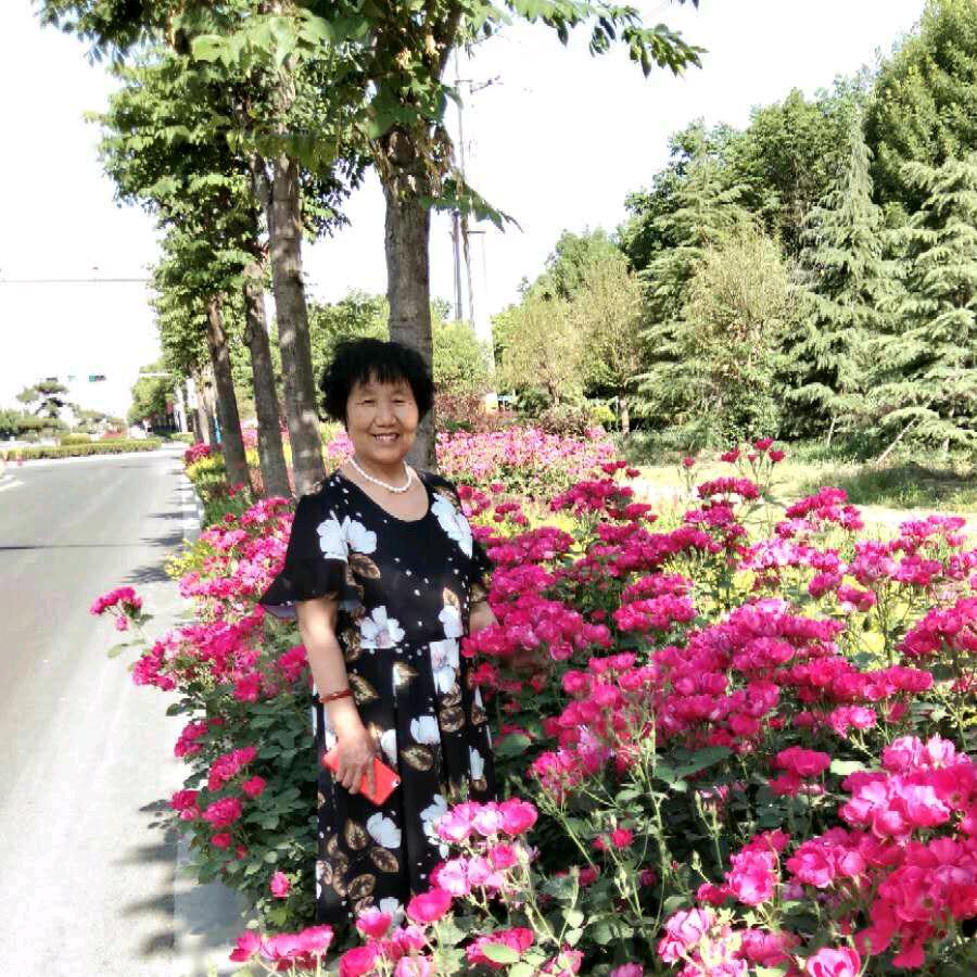 快乐大妈