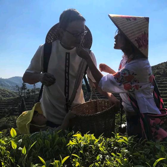 思茅区茶田农庄体验馆
