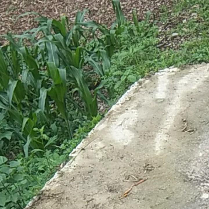 用户:岁月静好!