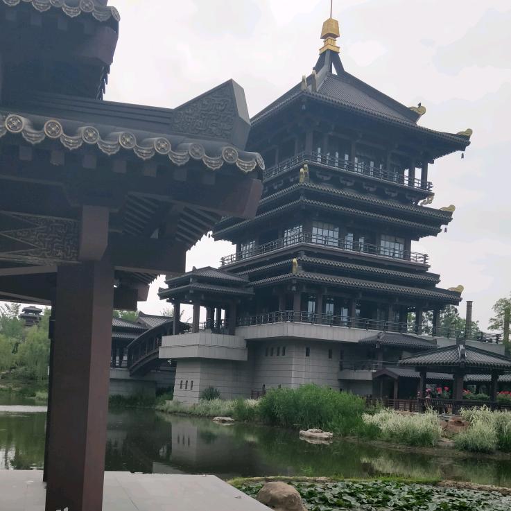 潜龙在渊