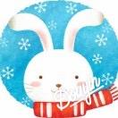 🌈一只老白兔