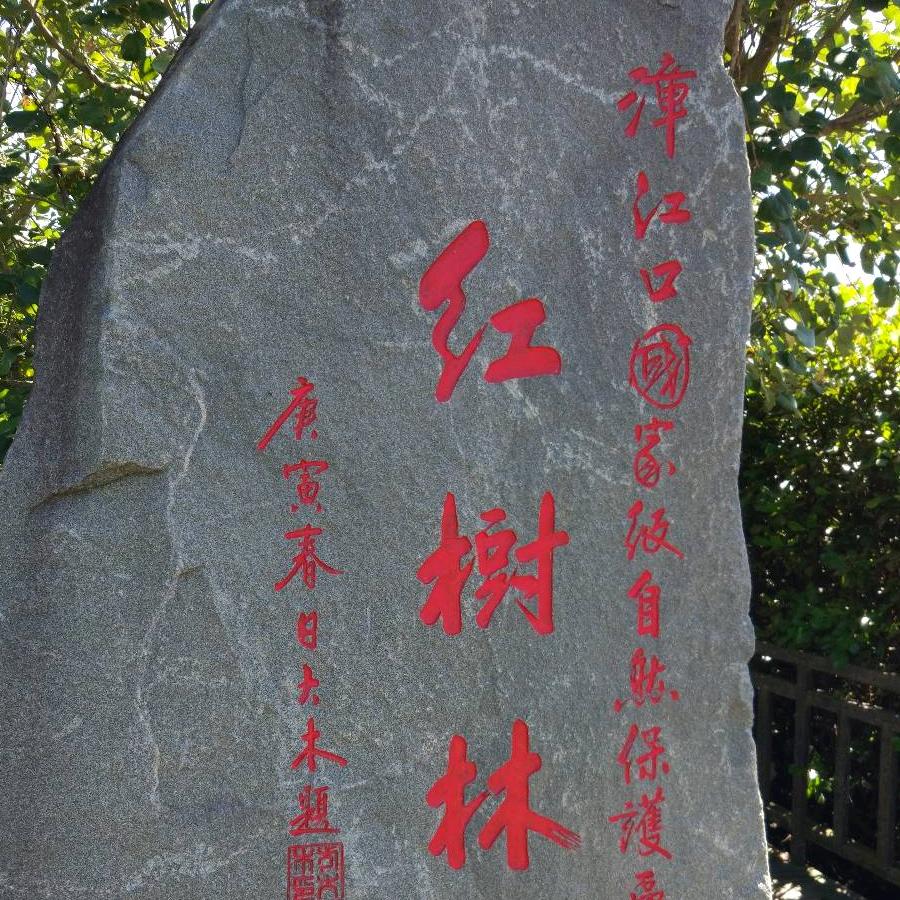 雨后彩虹