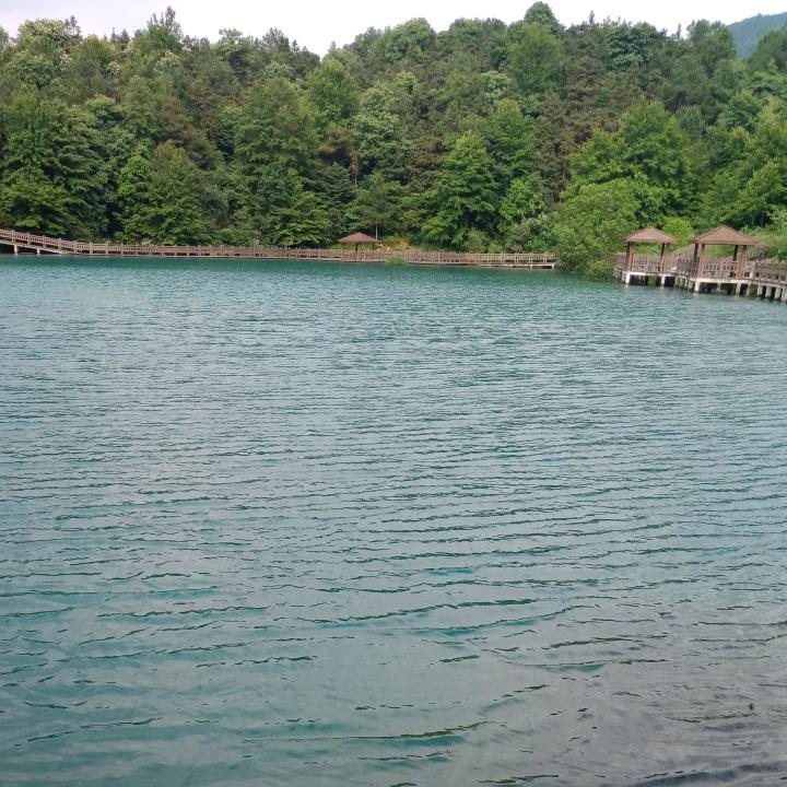 guigui