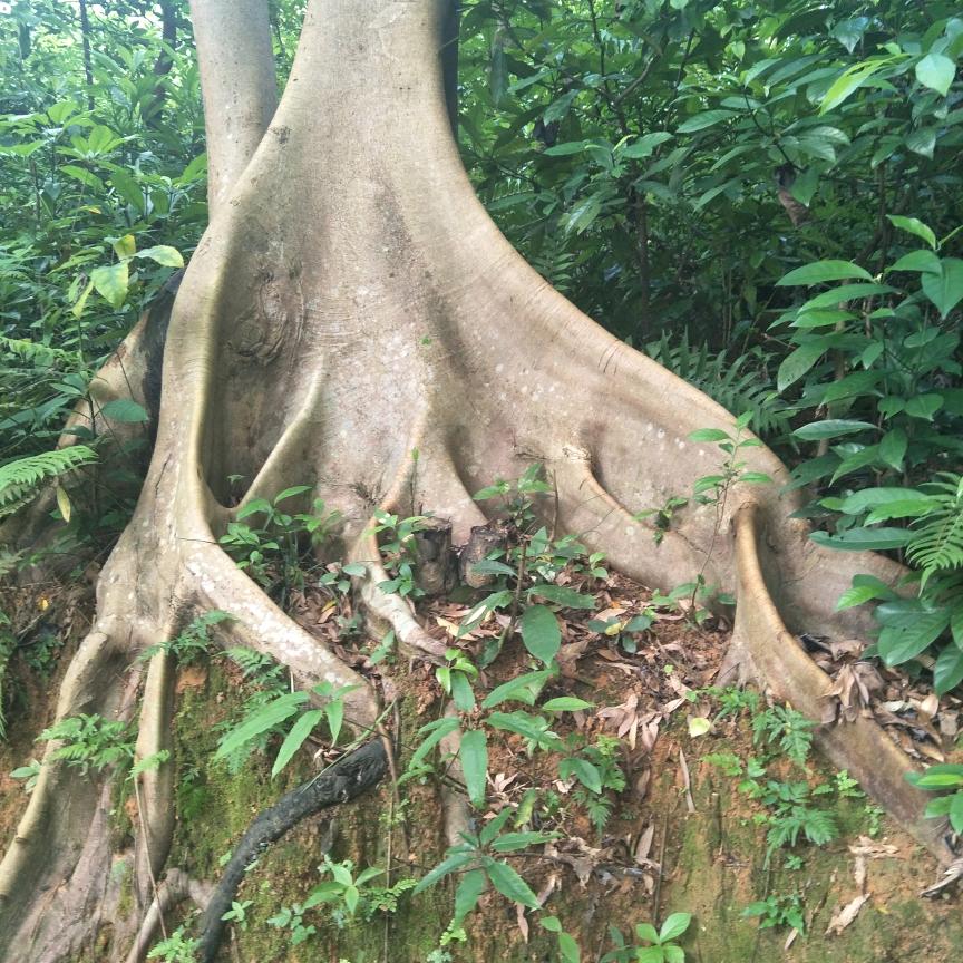 放纵不羁的一生