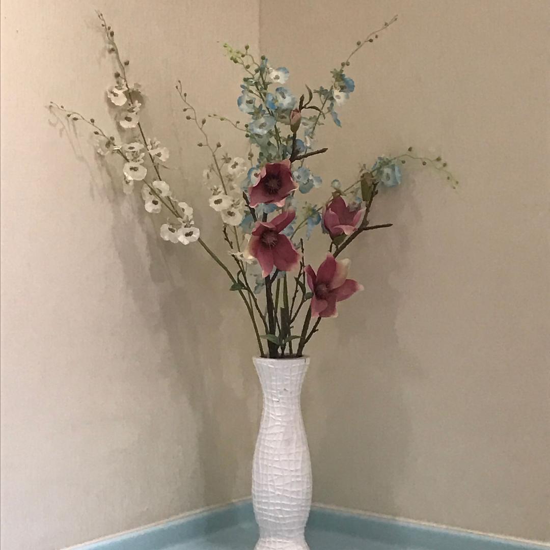 随遇而安.🇨🇳