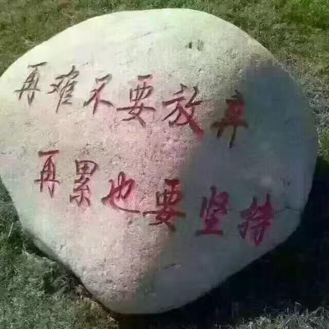 受伤的蜗牛