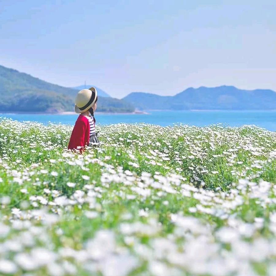 极·光