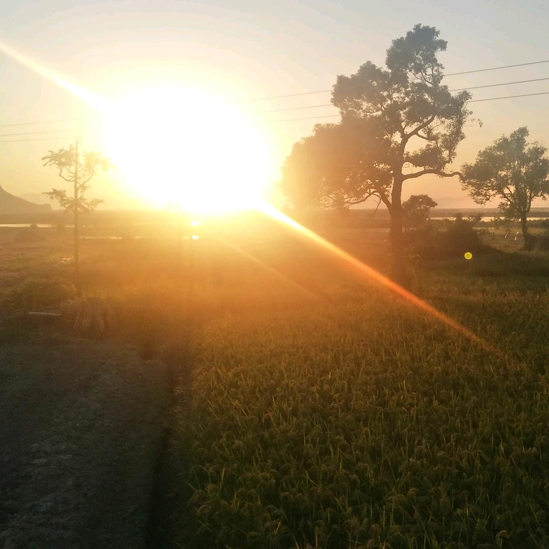 福清神墨蔡老师