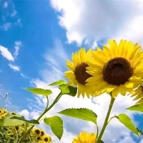 余生好好爱自己