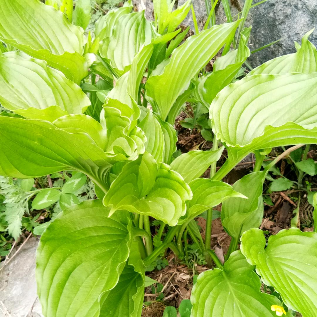 想得更美，拒绝私聊