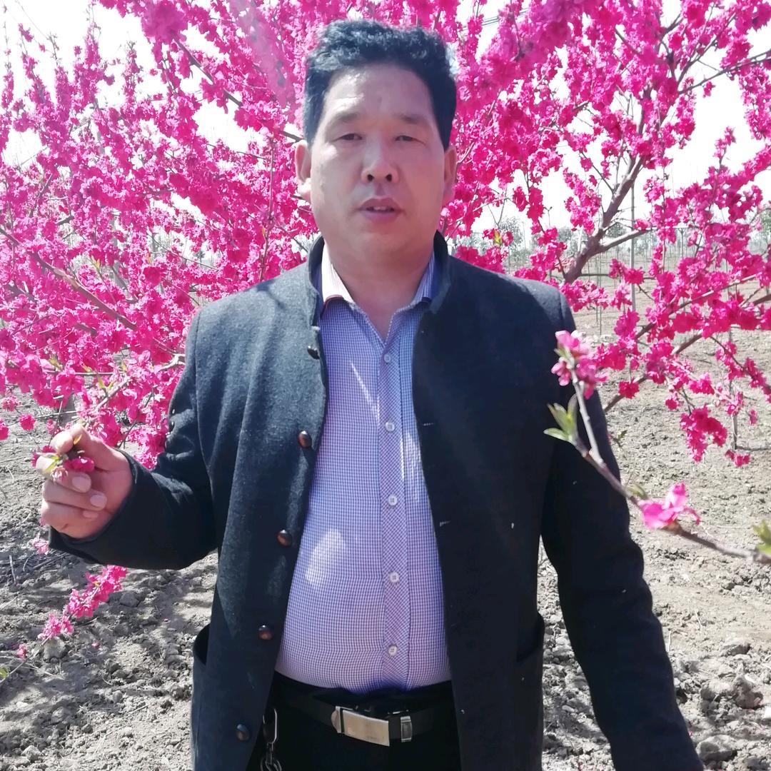 天天开心.🍀
