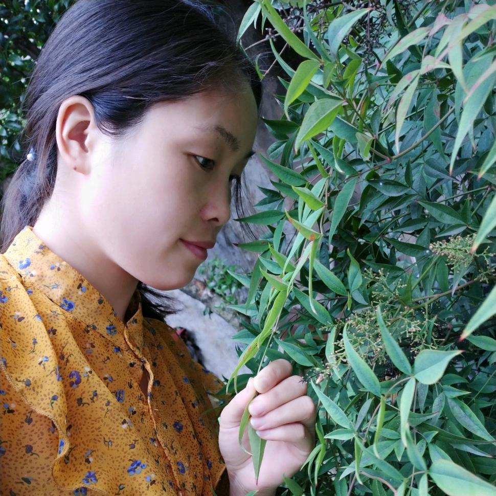 心语