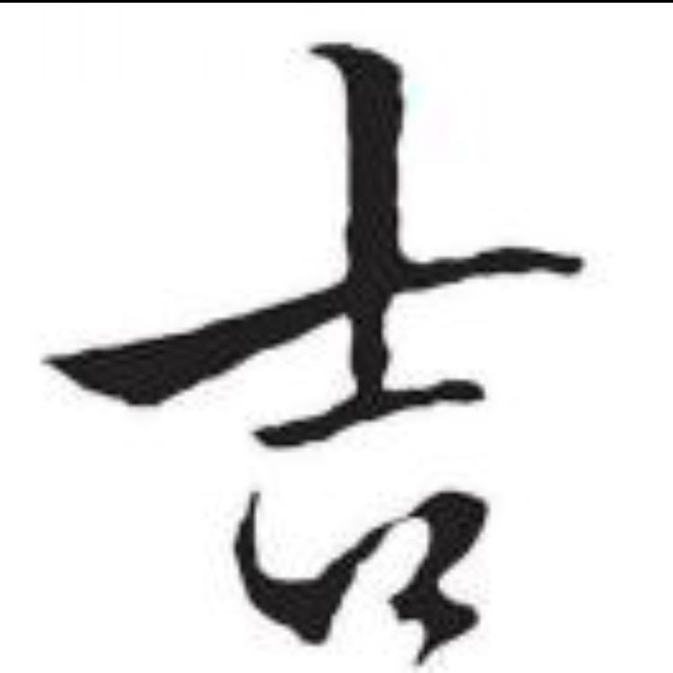 龙