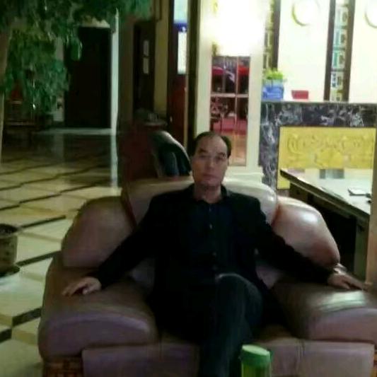 赵沟窑洞跑山猪