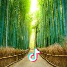 雨中飘荡的回忆