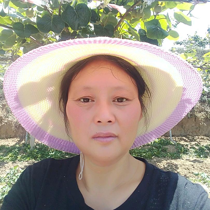 春暖花开🌸