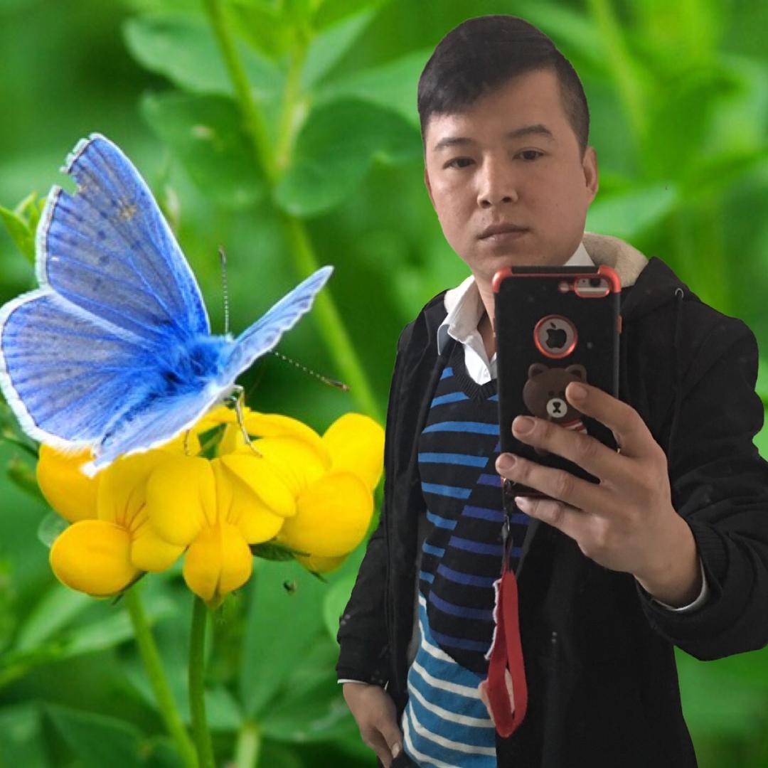 晨慕白