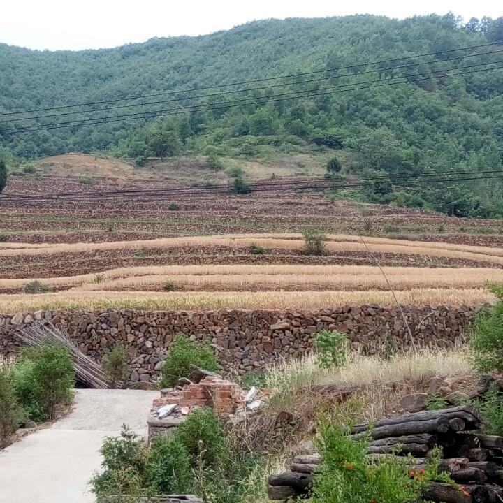 踏山涉水