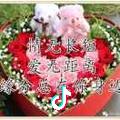 明天会更好