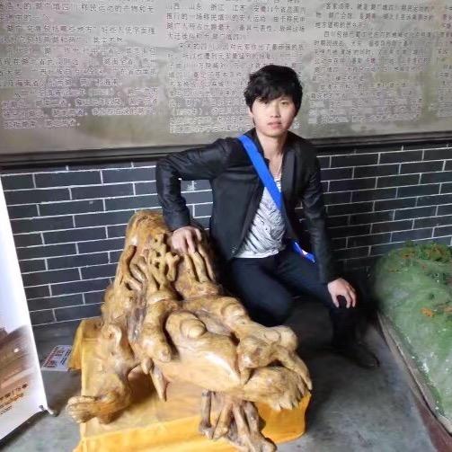 何雪丹