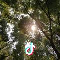 小陆总