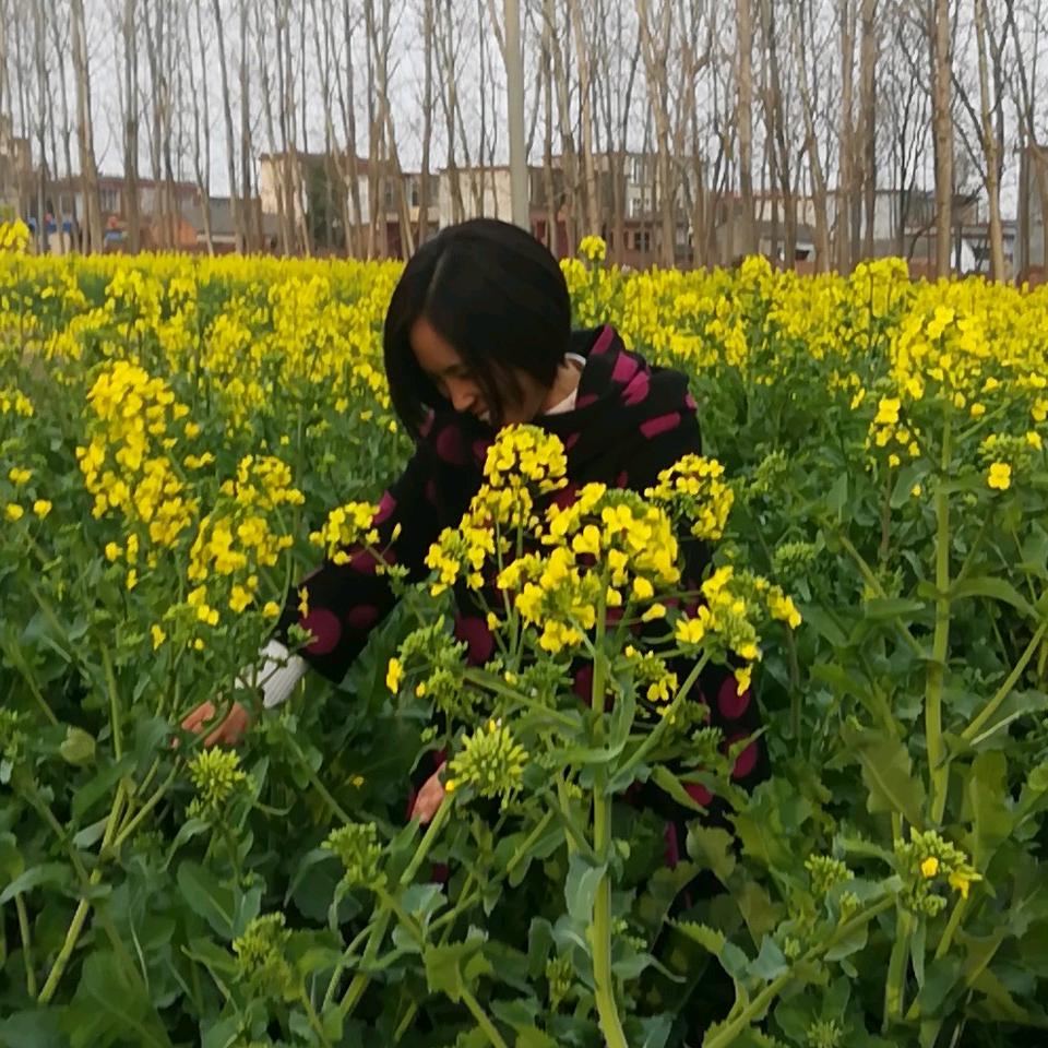 被遗忘的米老鼠