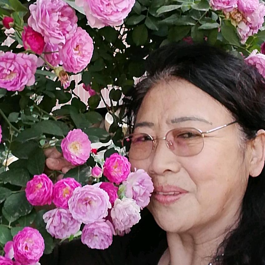 张慧