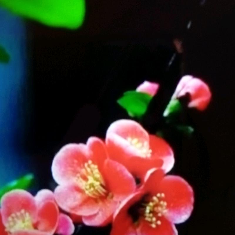 月朦胧