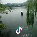 玫瑰