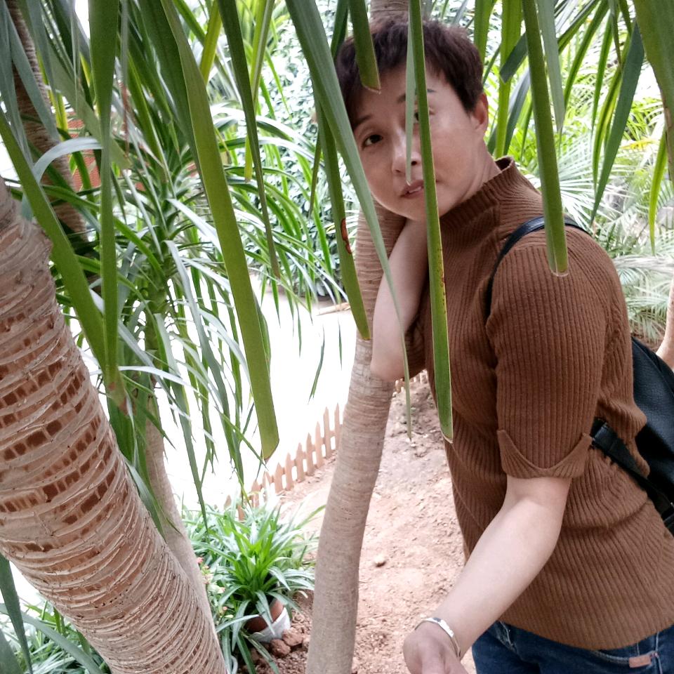 小丽［橱窗有好物］