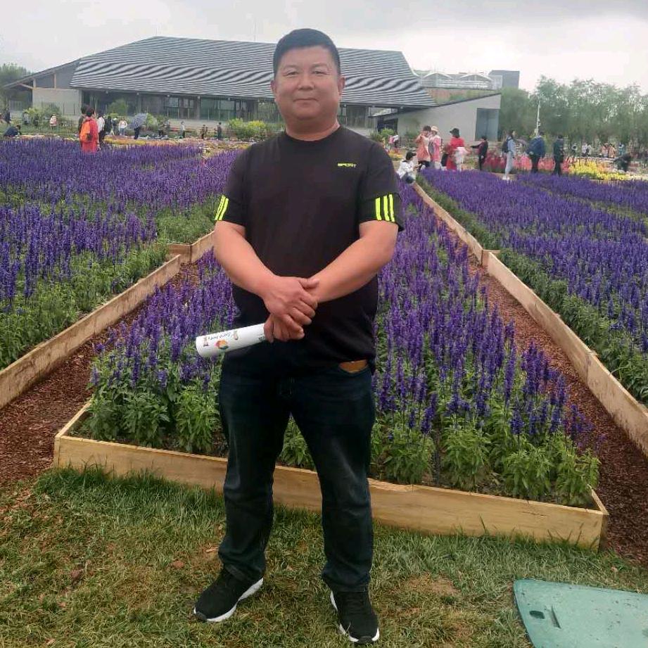 红桃老k,，常