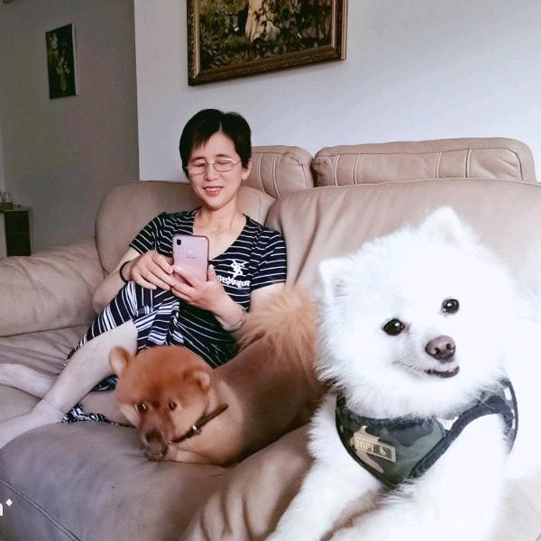 晓日晨阳