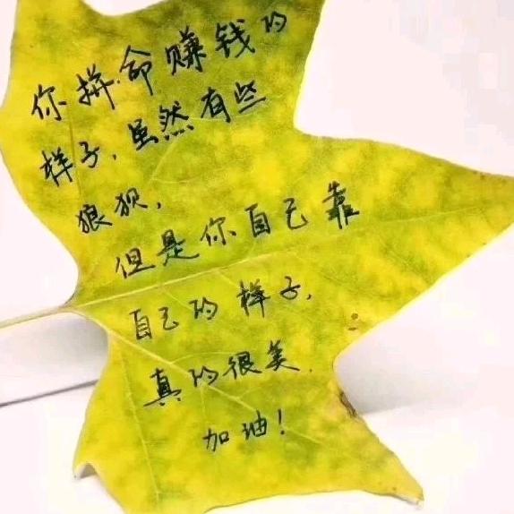 我是一棵小草