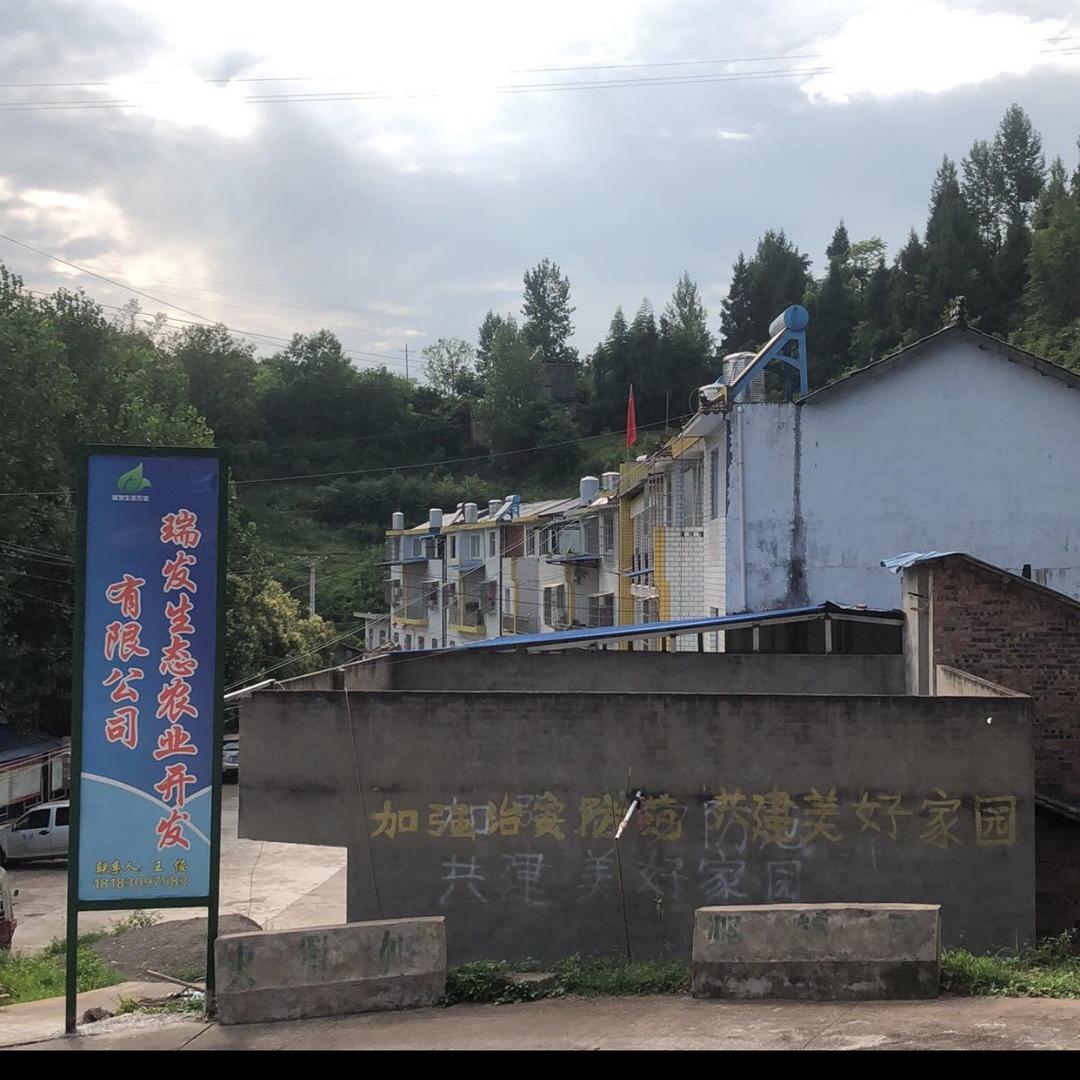 A瑞发生态农业A