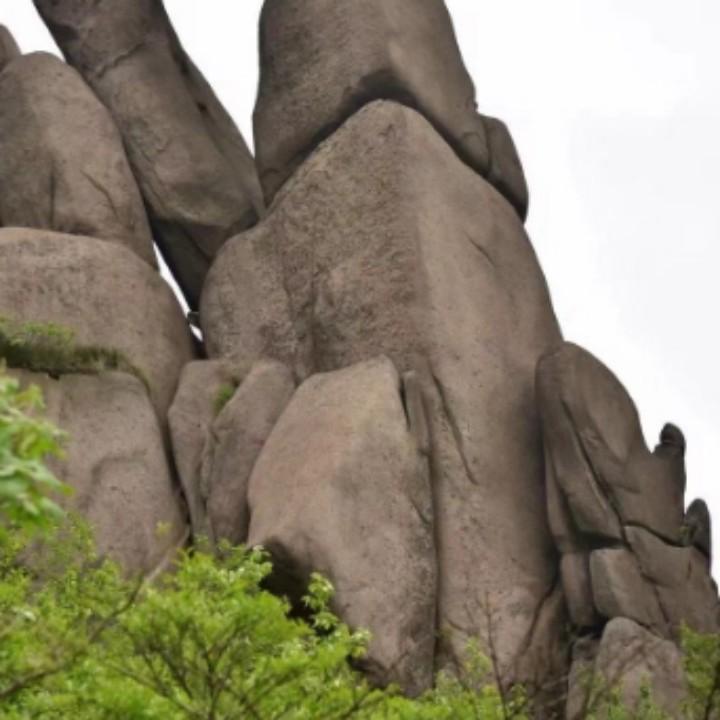 栋梁