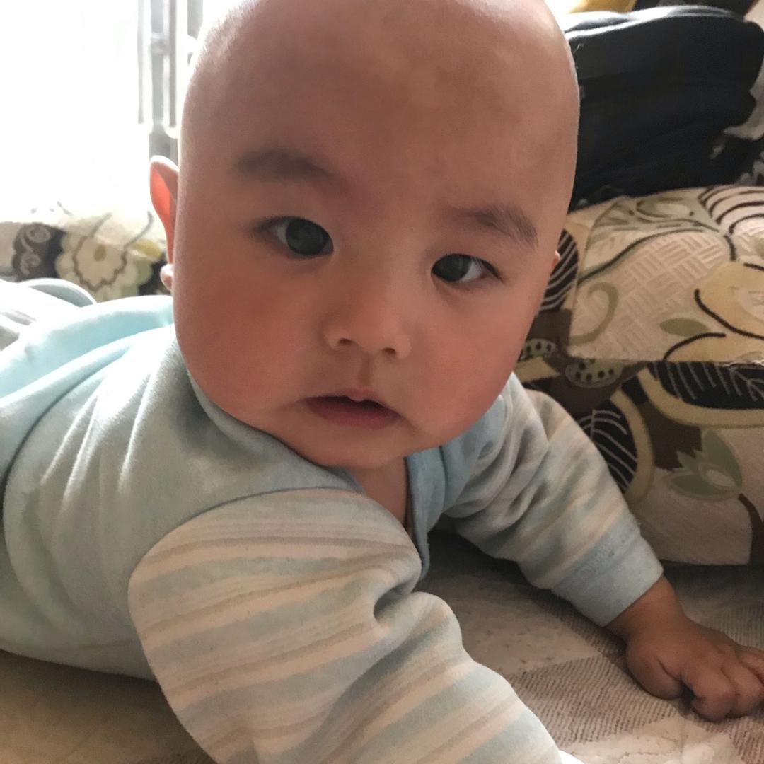 毒蘑菇