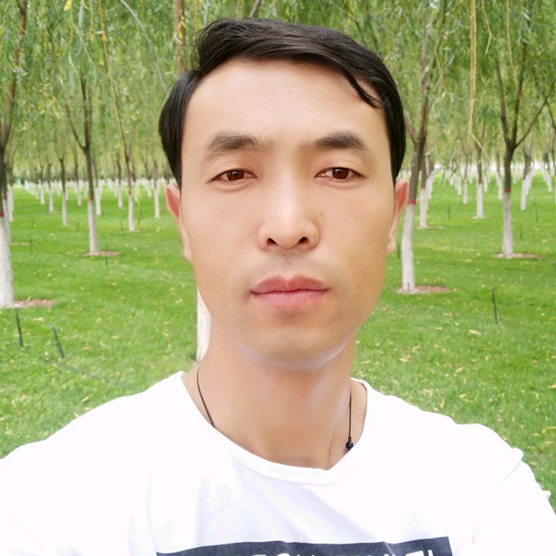 西北老王666