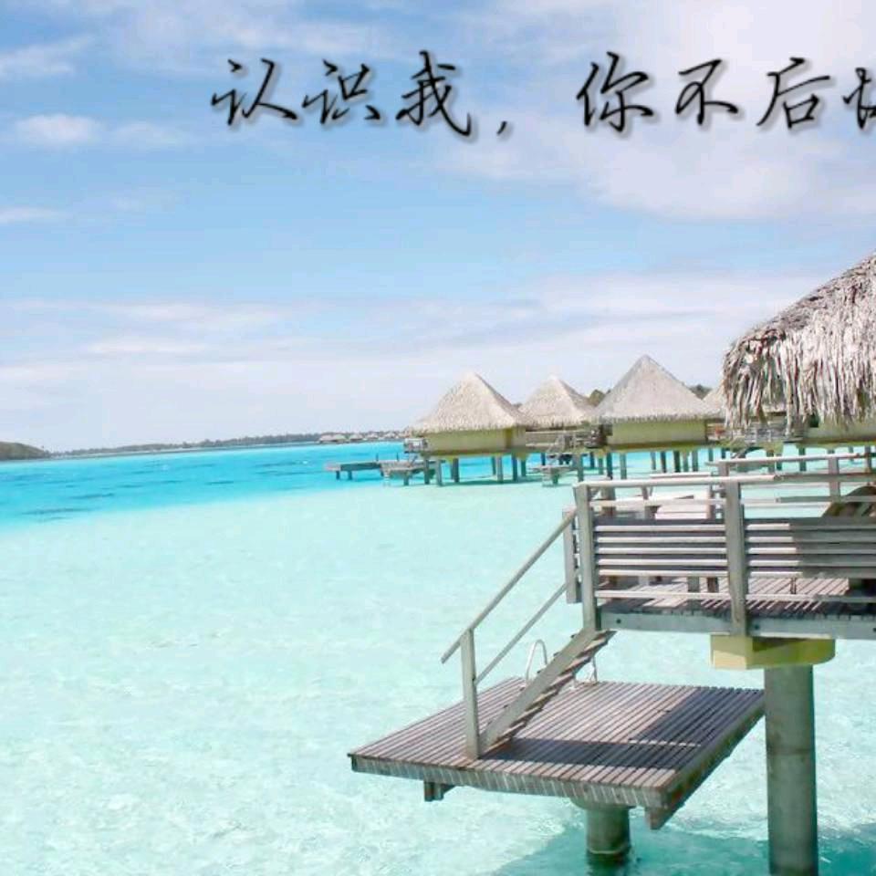 海天来客