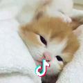 然也