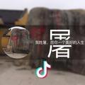 快乐的人生