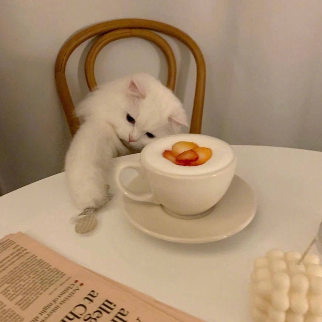 木子社·微胖大码女装