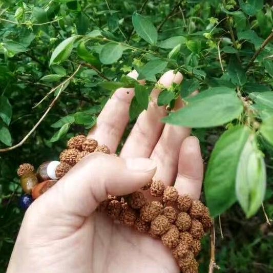小玥玥Baby 🎀(好物在橱窗)