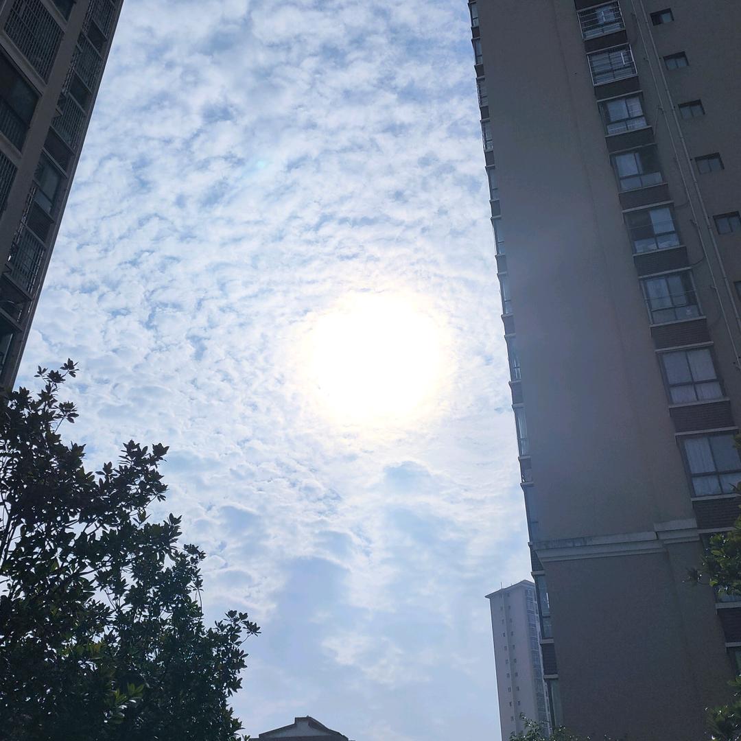 还我6600