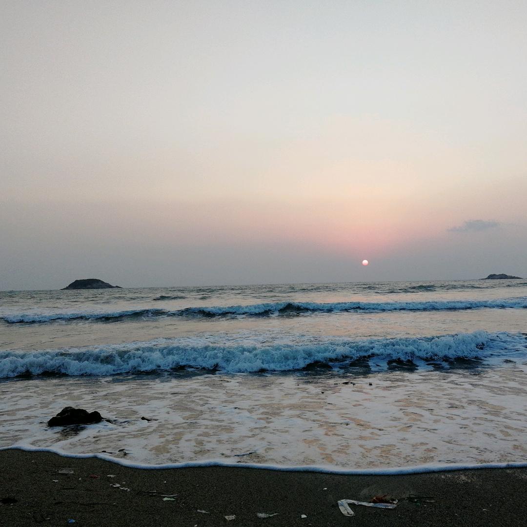 杨三姐