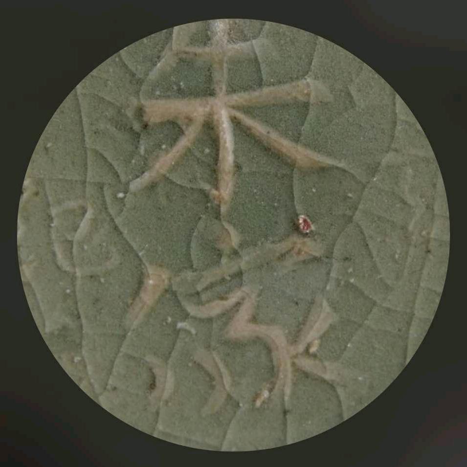 朱家汝窑