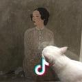 阕